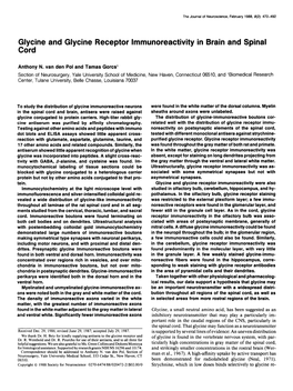 Glycine and Glycine Receptor Lmmunoreactivity in Brain and Spinal Cord