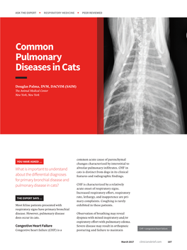 Common Pulmonary Diseases in Cats