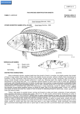 Labridae Fishing Area 51 (W