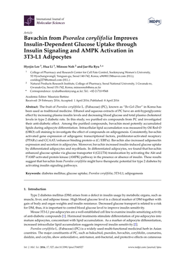 Bavachin from Psoralea Corylifolia Improves Insulin-Dependent Glucose Uptake Through Insulin Signaling and AMPK Activation in 3T3-L1 Adipocytes