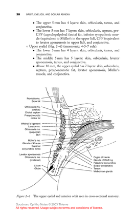 Skin, Orbicularis, Tarsus, and Conjunctiva. the Lower 5 Mm Has 7