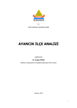 Ayancik Ilçe Analizi