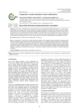 Comparative Vascular Anatomies of Some Orchid Species Bazı Orkide