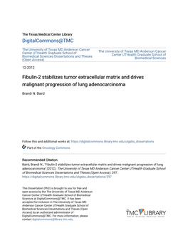 Fibulin-2 Stabilizes Tumor Extracellular Matrix and Drives Malignant Progression of Lung Adenocarcinoma