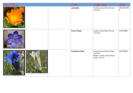 Fiori LIGURIA Nome Luogo E Data Colore Calendula Castelvecchio-Pian D'arma ARANCION 1/6/2013 E