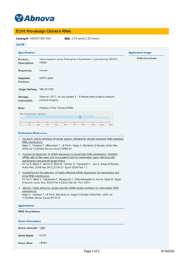 ECH1 Pre-Design Chimera Rnai