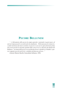 Pecore Bellunesi