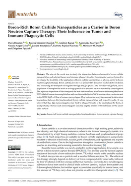 Boron-Rich Boron Carbide Nanoparticles As a Carrier in Boron Neutron Capture Therapy: Their Inﬂuence on Tumor and Immune Phagocytic Cells