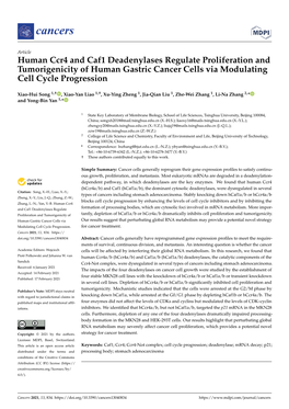 Human Ccr4 and Caf1 Deadenylases Regulate Proliferation and Tumorigenicity of Human Gastric Cancer Cells Via Modulating Cell Cycle Progression