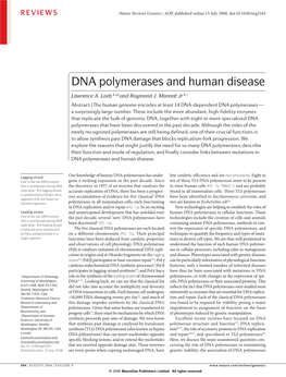 DNA Polymerases and Human Disease