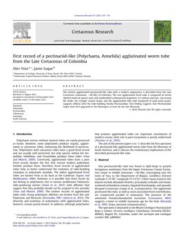 Agglutinated Worm Tube from the Late Cretaceous of Colombia