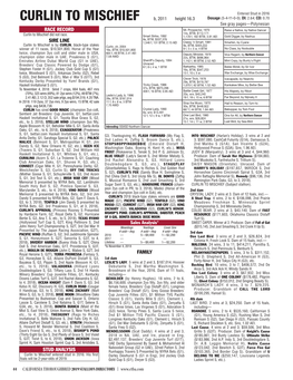 Race Record Sire Line Family Stud