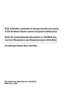 Role of Benthic Cnidarians in Energy Transfer Processes in the Southern Ocean Marine Ecosystem (Antarctica)