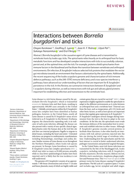 Interactions Between Borrelia Burgdorferi and Ticks