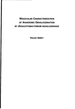 Molecular Characterization of Anaerobic Dehalogenation by Desulfitobacterium Dehalogenans