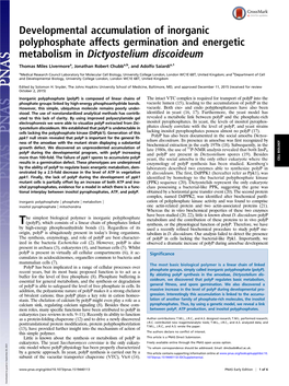 Developmental Accumulation of Inorganic Polyphosphate Affects Germination and Energetic Metabolism in Dictyostelium Discoideum