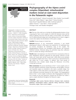 Phylogeography of the Vipera Ursinii Complex (Viperidae)