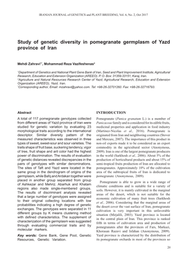 Study of Genetic Diversity in Pomegranate Germplasm of Yazd Province of Iran