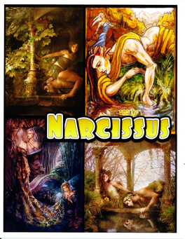 Narcissus.Pdf