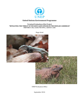 United Nations Environment Programme