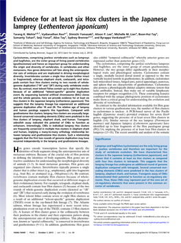 Evidence for at Least Six Hox Clusters in the Japanese Lamprey (Lethenteron Japonicum)