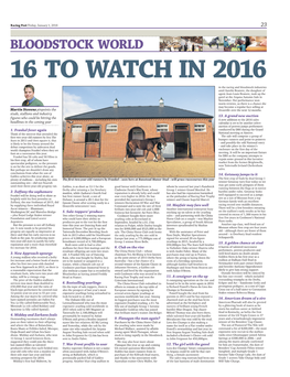 Bloodstock World 16 to Watch in 2016