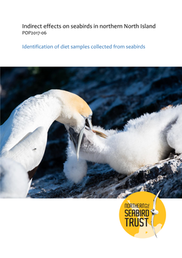 Indirect Effects on Seabirds in Northern North Island POP2017-06