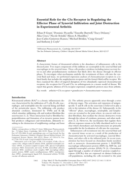 Essential Role for the C5a Receptor in Regulating the Effector Phase of Synovial Inﬁltration and Joint Destruction in Experimental Arthritis