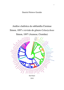 Araneae, Ctenidae)