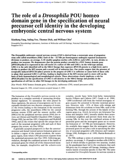 The Role of a Drosophila POU Homeo Domain Gene in the Specification of Neural Precursor Cell Identity in the Developing Embryonic Central Nervous System