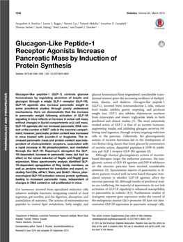 Glucagon-Like Peptide-1 Receptor Agonists Increase Pancreatic Mass by Induction of Protein Synthesis