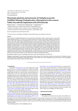 Phenotypic Plasticity and Taxonomy of Cladophora Gracilis (Griffiths)