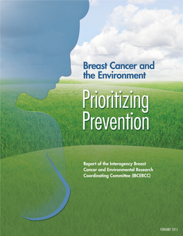 Breast Cancer and the Environment. Prioritizing Prevention