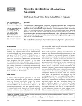 Pigmented Trichoblastoma with Sebaceous Hyperplasia