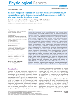 Lack of Megalin Expression in Adult Human Terminal Ileum Suggests Megalinindependent Cubilinamnionless Activity During Vitamin B