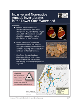 Invasive and Non-Native Aquatic Invertebrates in the Lower Coos