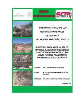 Servicio Geológico Mexicano