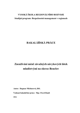 BAKALÁŘSKÁ PRÁCE Zneužívání Méně Závažných Návykových Látek