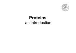 Protein Structure