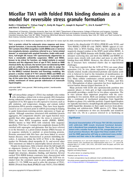 Micellar TIA1 with Folded RNA Binding Domains As a Model for Reversible Stress Granule Formation