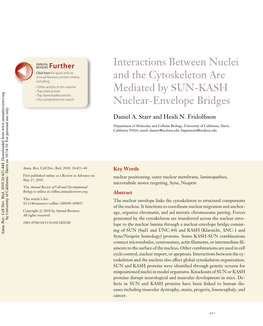 Interactions Between Nuclei and the Cytoskeleton Are Mediated by SUN-KASH Nuclear-Envelope Bridges