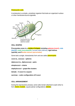 Prokaryotic Cells a Prokaryote Is a Simple, Unicellular Organism That