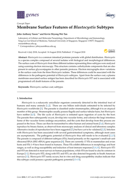 Membrane Surface Features of Blastocystis Subtypes