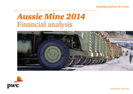 Aussie Mine 2014 Financial Analysis