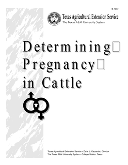 Determining Pregnancy in Cattle John R