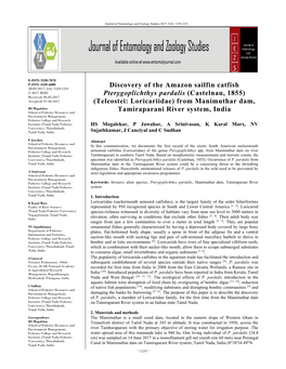 Discovery of the Amazon Sailfin Catfish Pterygoplichthys Pardalis