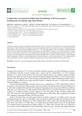 Comparative Assessment of Pollen Micromorphology of Salvia Assurgens (Lamiaceae), an Endemic Sage from Mexico