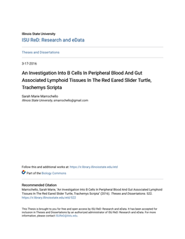 An Investigation Into B Cells in Peripheral Blood and Gut Associated Lymphoid Tissues in the Red Eared Slider Turtle, Trachemys Scripta