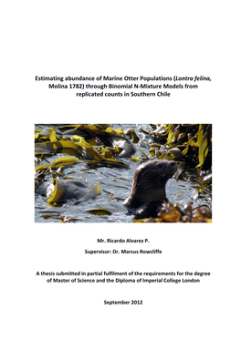 Estimating Abundance of Marine Otter Populations (Lontra Felina, Molina