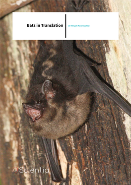 Bats in Translation Dr Mirjam Knörnschild